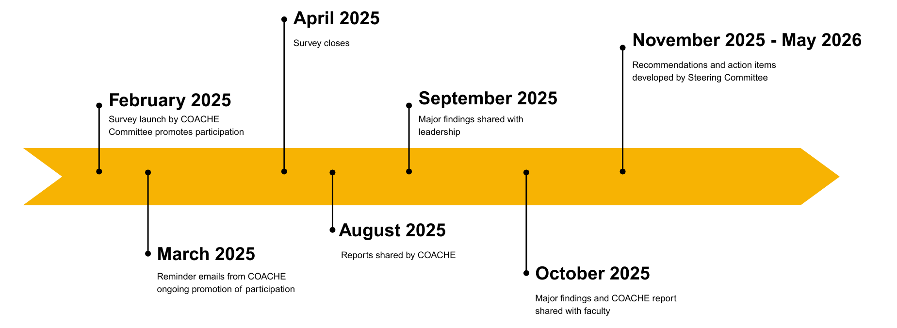 COACHE timeline graphic